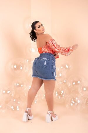 Mini Saia 009 - Image 2